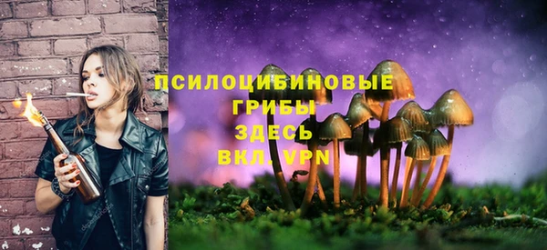 прущие грибы Алексин