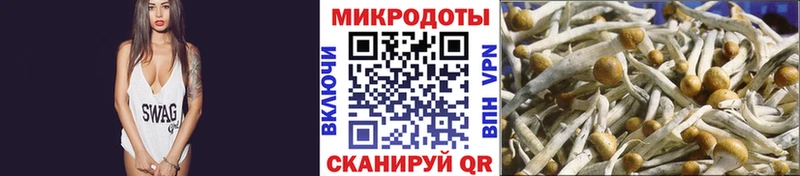 Псилоцибиновые грибы MAGIC MUSHROOMS Новоуральск